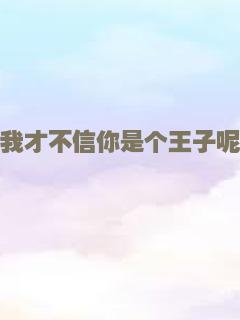 我才不信你是个王子呢