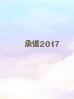 承诺2017
