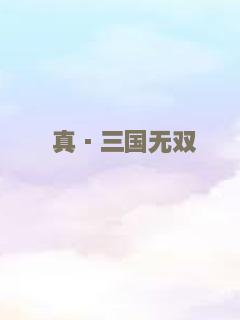 真·三国无双