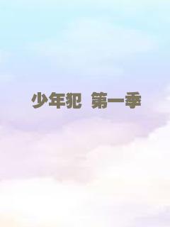 超级女警