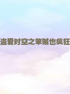 盗爱时空之笨贼也疯狂