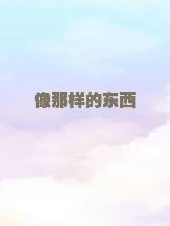 像那样的东西