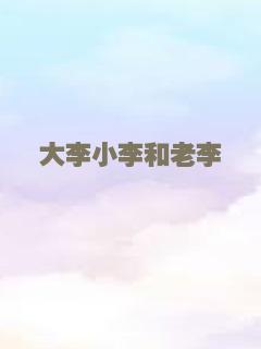 大李小李和老李