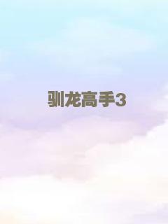 驯龙高手3