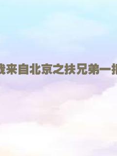 我来自北京之扶兄弟一把