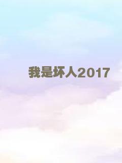 我是坏人2017