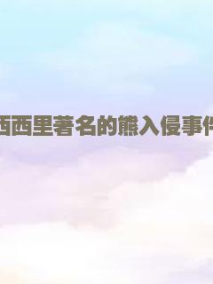 小男孩