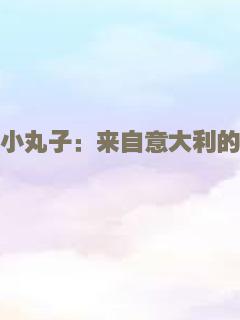 新包青天南侠谜案