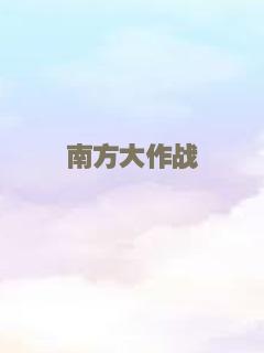 南方大作战