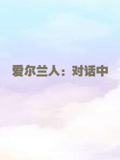 爱尔兰人：对话中