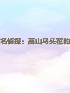 凤凰谷