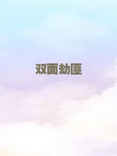 双面劫匪