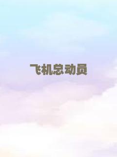 飞机总动员