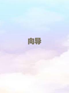 向导