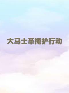 大马士革掩护行动