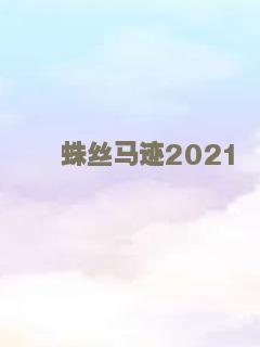 蛛丝马迹2021