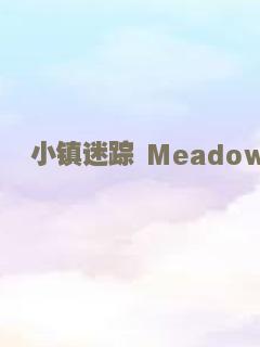 小镇迷踪 Meadowland