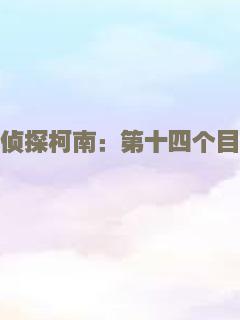 名侦探柯南：第十四个目标