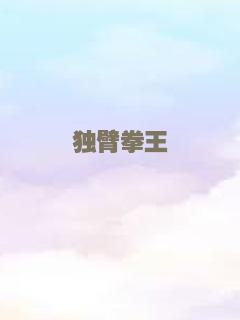 独臂拳王