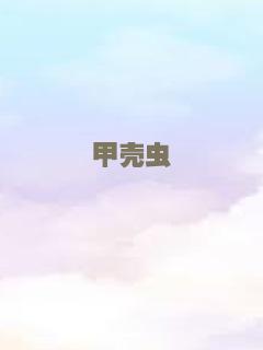 甲壳虫