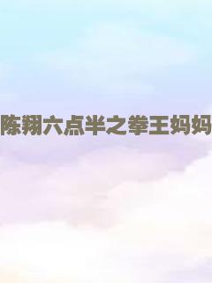 陈翔六点半之拳王妈妈