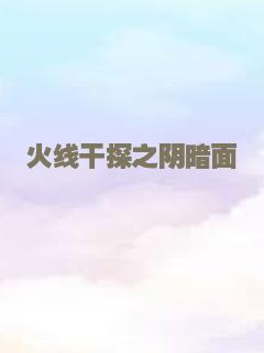 火线干探之阴暗面