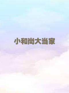 小和尚大当家