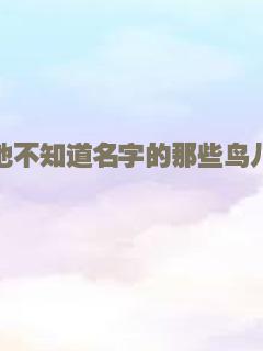 小镇风云
