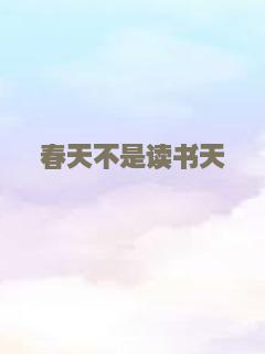 爱猫之城