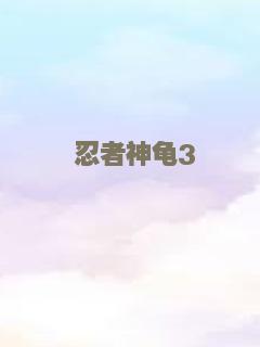忍者神龟3