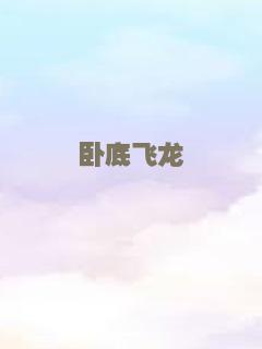 卧底飞龙