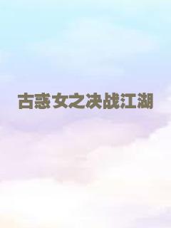 超级情报员麦汉续集