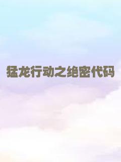 猛龙行动之绝密代码
