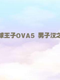 新网球王子OVA5 男子汉之间的羁绊