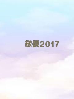 敬畏2017