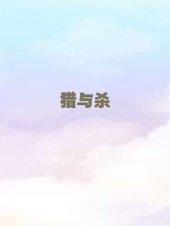 兵王传奇