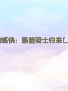 天梯：蔡国强的艺术