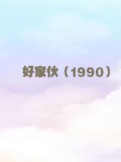 好家伙（1990）
