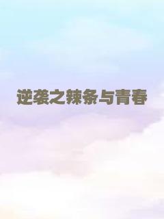 逆袭之辣条与青春