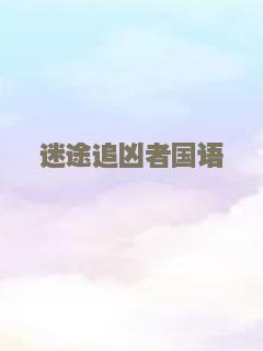 迷途追凶者国语