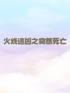 火线追凶之突然死亡