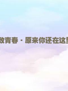 致青春·原来你还在这里