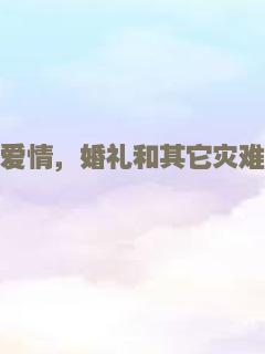 爱情，婚礼和其它灾难