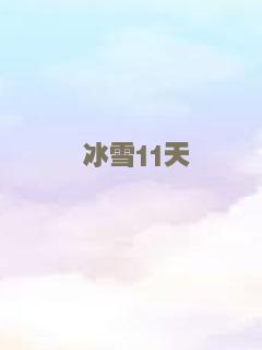 冰雪11天