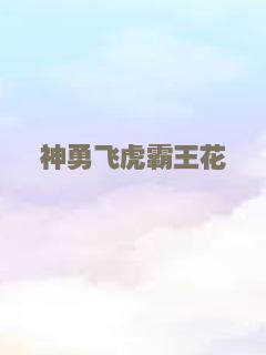 切小金家的旅馆