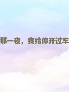 那一夜，我给你开过车