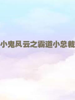 小鬼风云之霸道小总裁