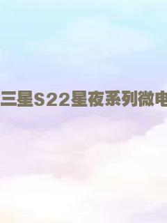 狮子王3