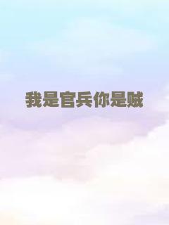 我是官兵你是贼