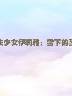 魔法少女伊莉雅：雪下的誓言